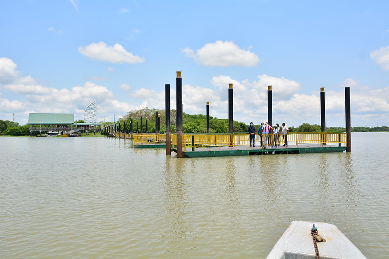 Muelle en la Ciénaga de Zapatosa, Chimichagua